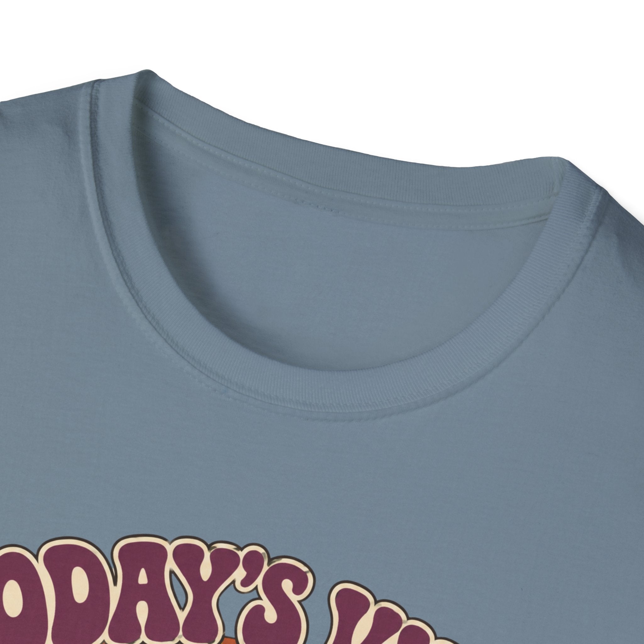 Today's Vibe Horizontal T-Shirt