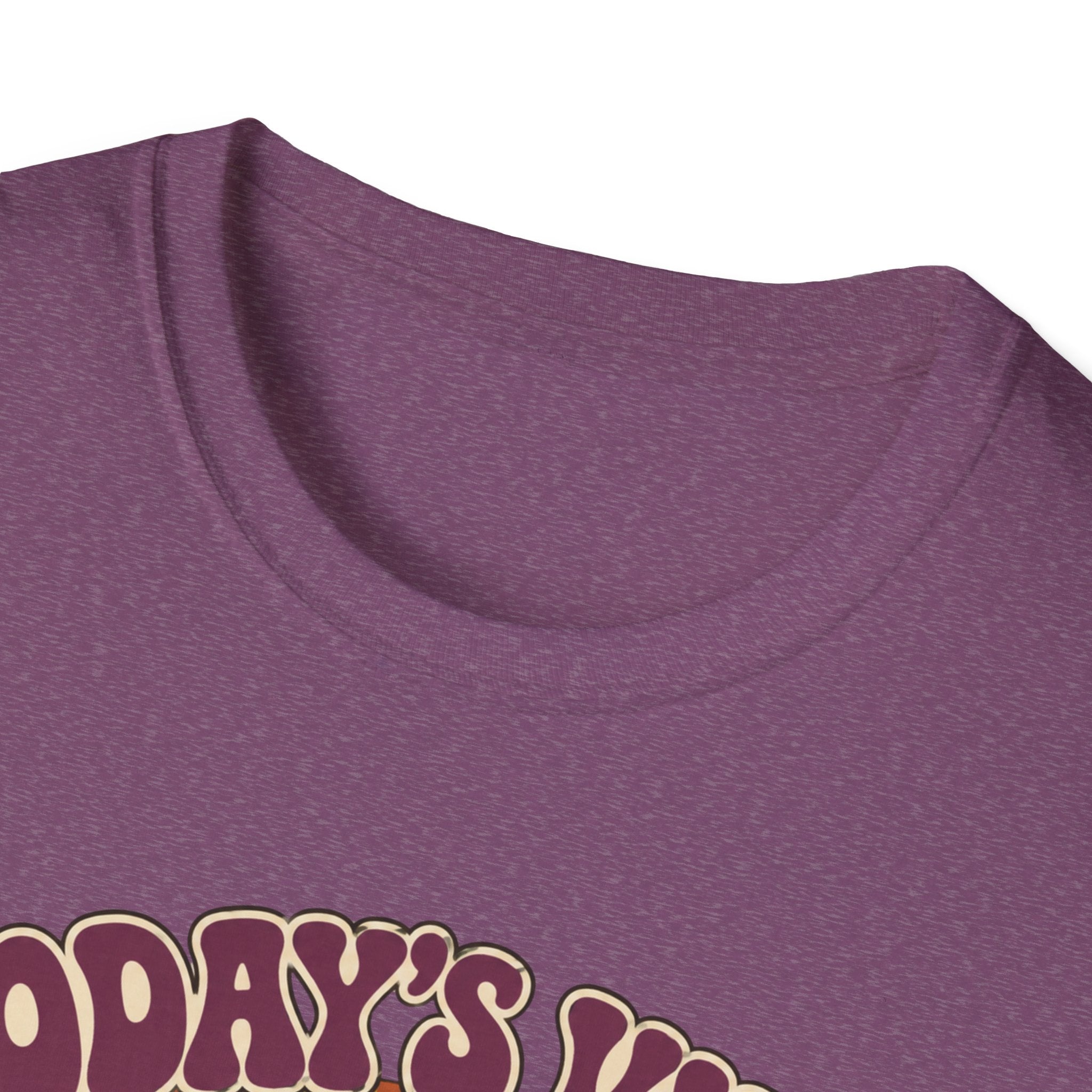 Today's Vibe Horizontal T-Shirt